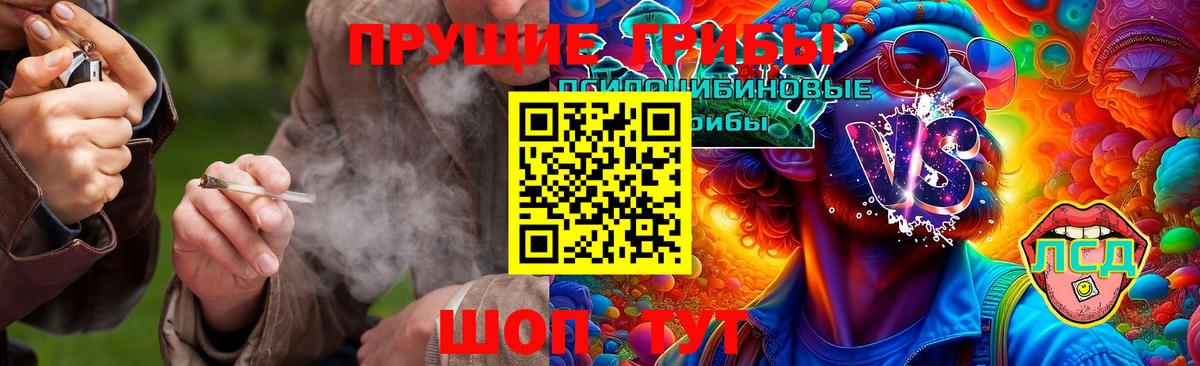 Корсаков  Псилоцибиновые грибы Psilocybe  Вход с VPN  Галлюциногенные грибы GOLDEN TEACHER 